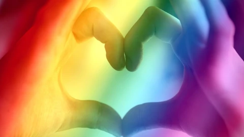 qué estados matrimonio igualitario.jpg