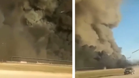 VIDEO_ Mueren 18 mil vacas lecheras tras explosión en una granja