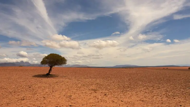 El Planeta tuvo el 4 de julio la temperatura más alta jamás registrada