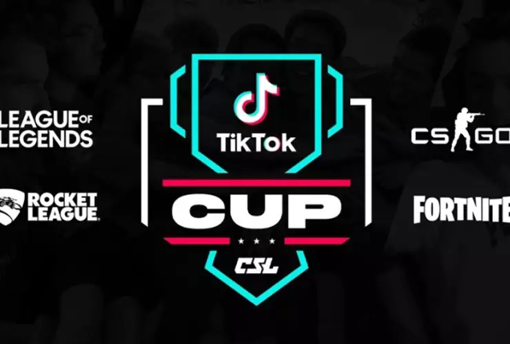 tiktok cup
