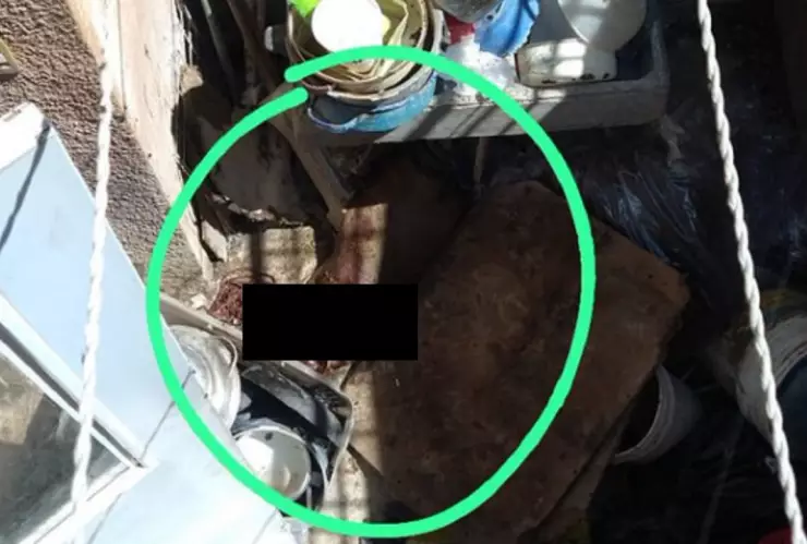 PERRO SIN CABEZA LOS HÉROES PUEBLA