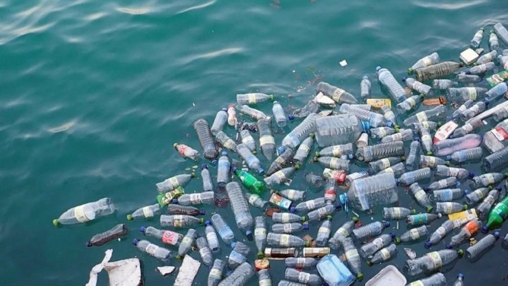 Crean enzima capaz de descomponer el plástico en horas 