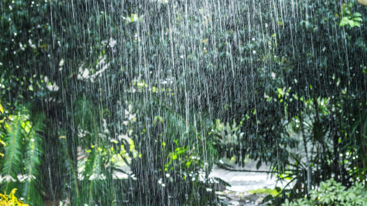 Pronóstico del clima.
