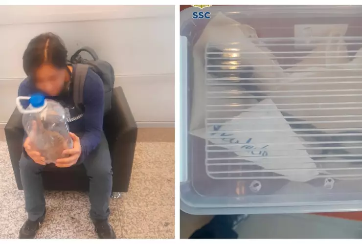 Joven salvó a una serpiente en la Línea B del Metro CDMX y la quería liberar en el Bosque de Chapultepec