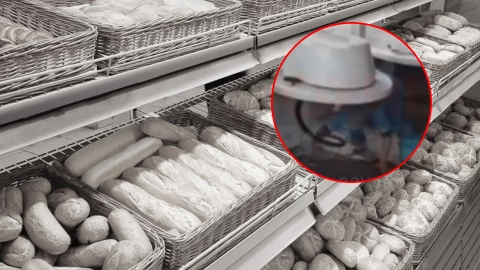 Triturada panadería.jpg