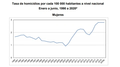 homicidios-mujeres-inegi.jpg