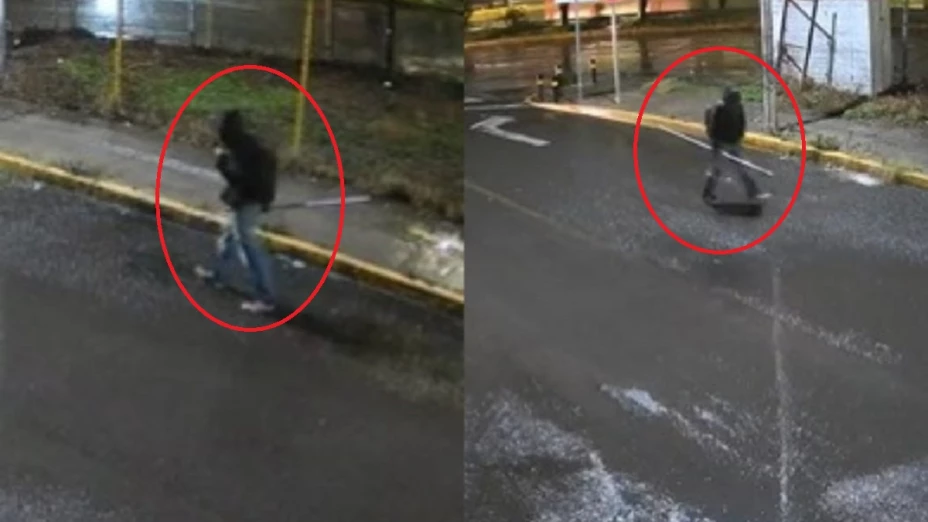 ladrón de cámaras Mayorazgo