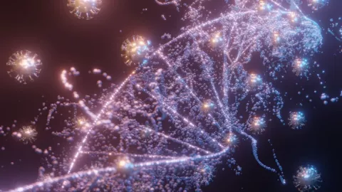 Forma de vida, inmune, virus B.jpg