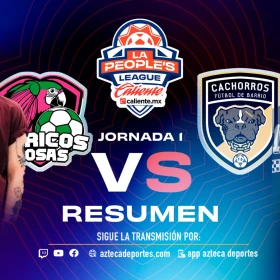 Pericos Rosas FC.jpeg