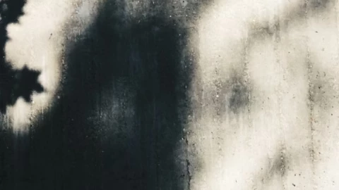 Momento exacto en el que graban sombras demoníacas en la sala de una casa