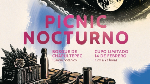 Picnic Nocturno 2025