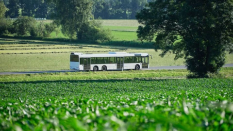 _Cancelan autobuses Guanajuato-Jalisco lunes 23 febrero 2026.png