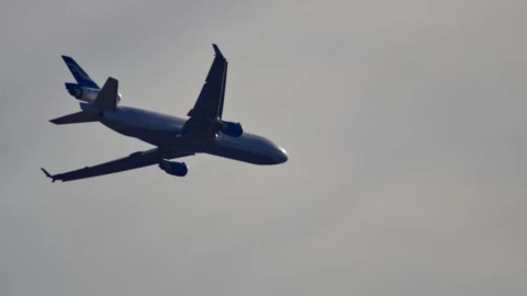 Neblina afecta vuelos hoy domingo en Tijuana, ¿cancelaron el tuyo?