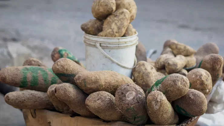 &iexcl;El carbohidrato m&aacute;s saludable! Mantiene los niveles de glucosa bajos y mejora el intestino