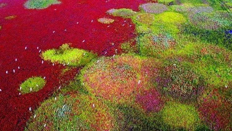 Uno en China, otro en Irán, nuevos sitios Patrimonio Mundial de UNESCO