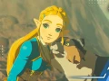 Zelda