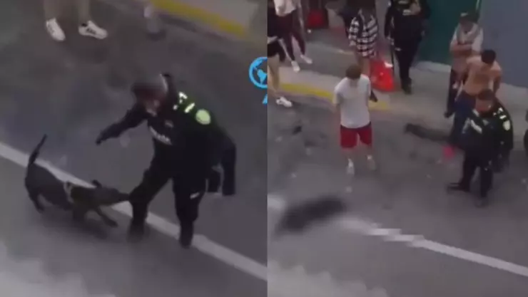 Policía dispara a perro
