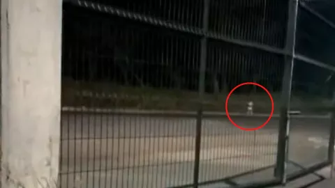 captan en video a niña fantasma en pensión de tráileres de tuxpan veracruz.jpg