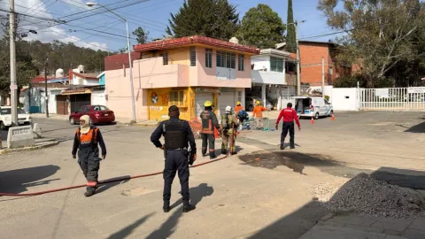 1280 x 720 px - 2026-03-12T192436.112.jpg