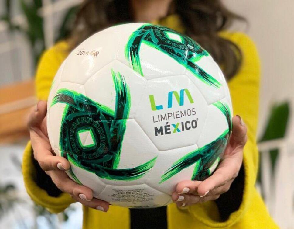 Limpiemos México 2.jpeg