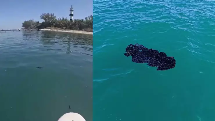 ¡Crece la mancha! Reportan más presencia de hidrocarburo en Cancuncito, Veracruz