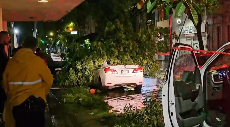 ¡Se libra de la muerte! Hombre se salvó de morir aplastado por un árbol tras tormenta en Zona Metropolitana de Guadalajara