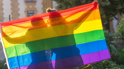 orgullo LGBT por qu&eacute; se celebra
