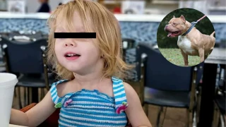 Niña pierde la vida tras ser dejada sola con un perro en Oklahoma, Estados Unidos.png