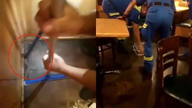 víbora restaurante Nuevo León.jpg
