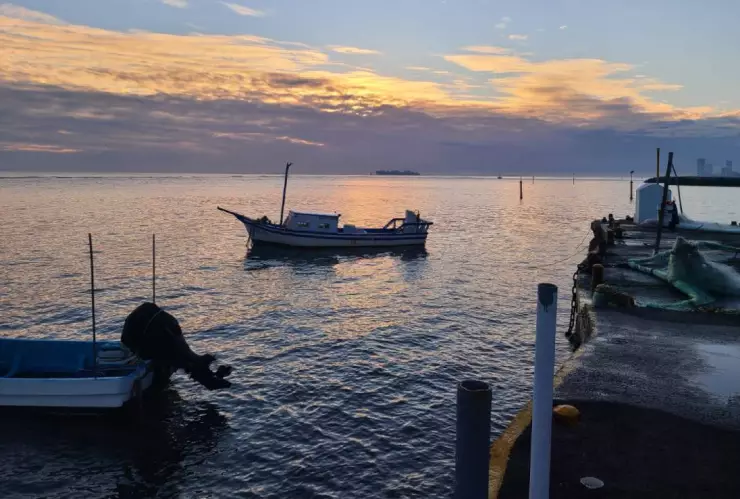 Clima en Veracruz hoy 2 de enero 2026