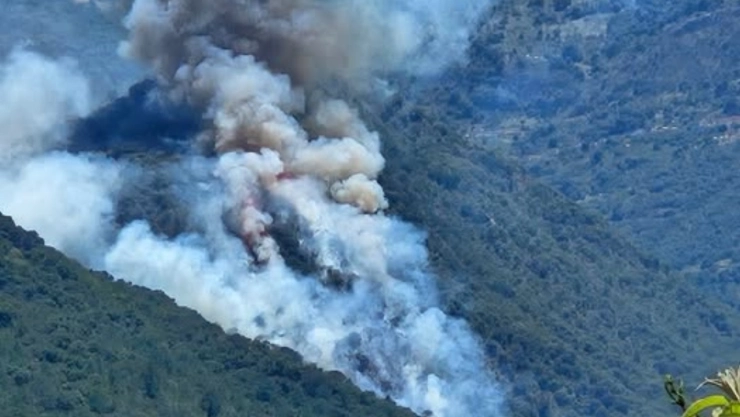 incendio-forestal-en-oaxaca-activa-brigadas-tabasco-concentra-el-siniestro-mas-grande-pais