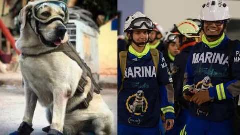 ¡Qué perro! Rescatistas mexicanos con playera de Frida van a Turquía