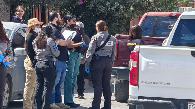 Cateo en la colonia Dale