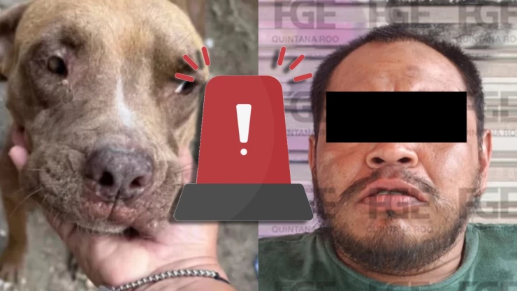 Abusador de perrita pitbull en Benito Juárez irá a prisión preventiva: Así fue la vinculación a proceso de ‘Pelusa’