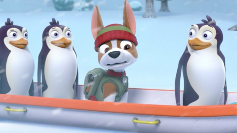 5 capítulos de Paw Patrol que enseñan a los niños a cuidar y querer a los animales