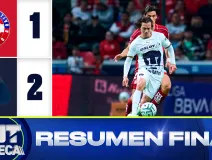 RESUMEN FINAL.jpg