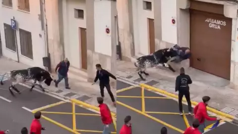 Toro embiste brutalmente a un abuelito en pleno festival