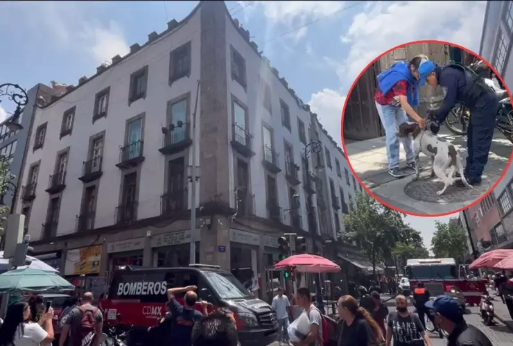 Rescatan a dos perritos del incendio en un edificio del Centro de la CDMX