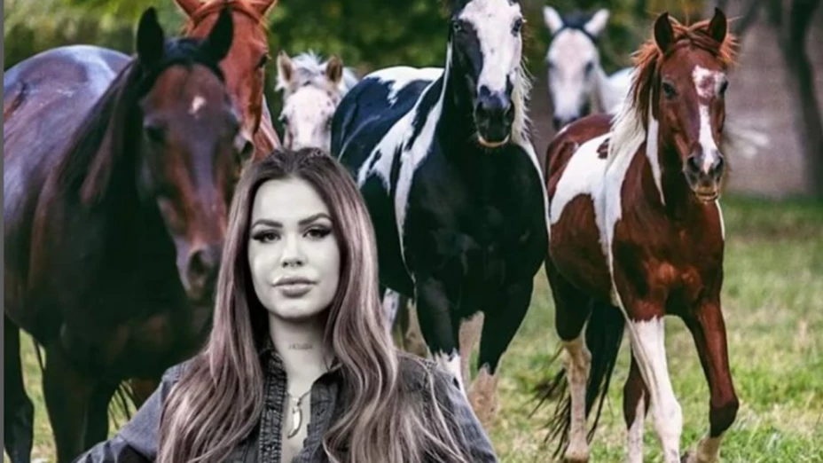 Tras muerte de Elena Larrea, publican reforma a Ley de Bienestar Animal