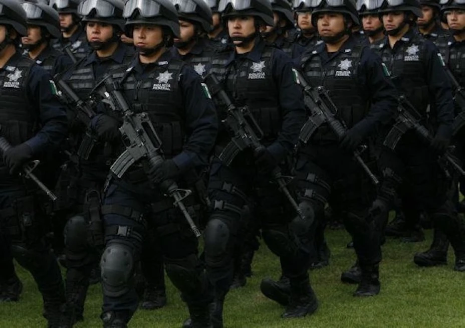En el caso de las condenas sancionatorias, la particular solicitó que la información sea desde 1990, pero debido a que la entonces Policía Federal Preventiva (actualmente PF) se creó en 1999, la búsqueda se delimitará a partir de este último año