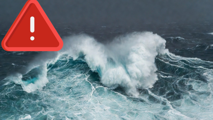 Tsunami por sismo en Japón