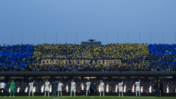 Aficionados de Pumas