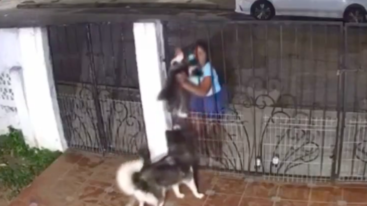 Captura de Pantalla 2025-01-04 a la(s) 12.10.08.png