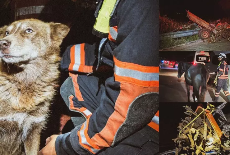 Atropellan a tres personas en El Lobo, El Marqués