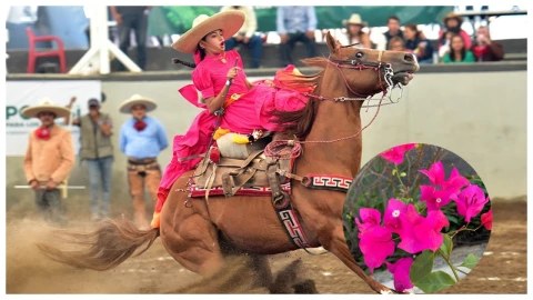 Color rosa mexicano, cómo surgió y en dónde podemos verlo