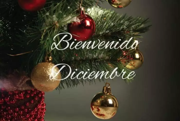 Bienvenido Diciembre (6).jpg