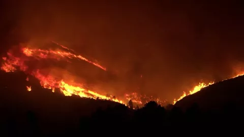 ¡Infierno en España!, incendios forestales arrasan Valencia.
