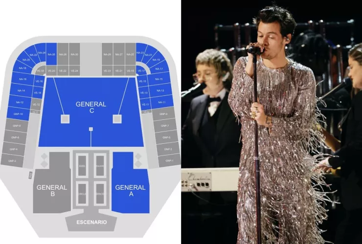 Harry Styles Estadio GNP