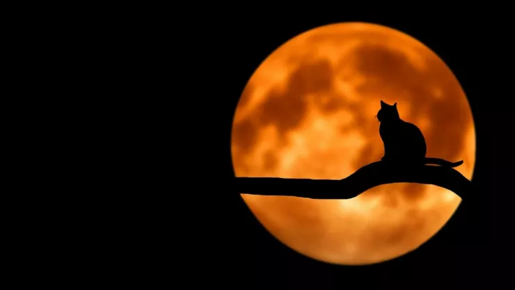 La leyenda de la Luna Errante y por qué jamás deberías verlas fijamente