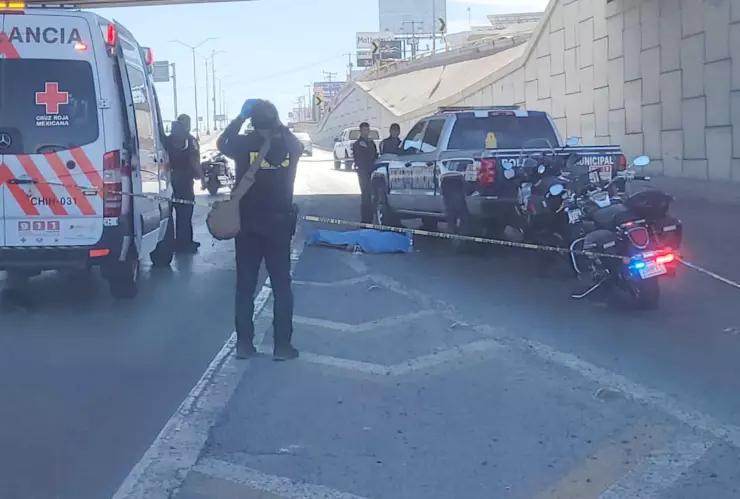 SALTA DE PUENTE HOMERO.jpg